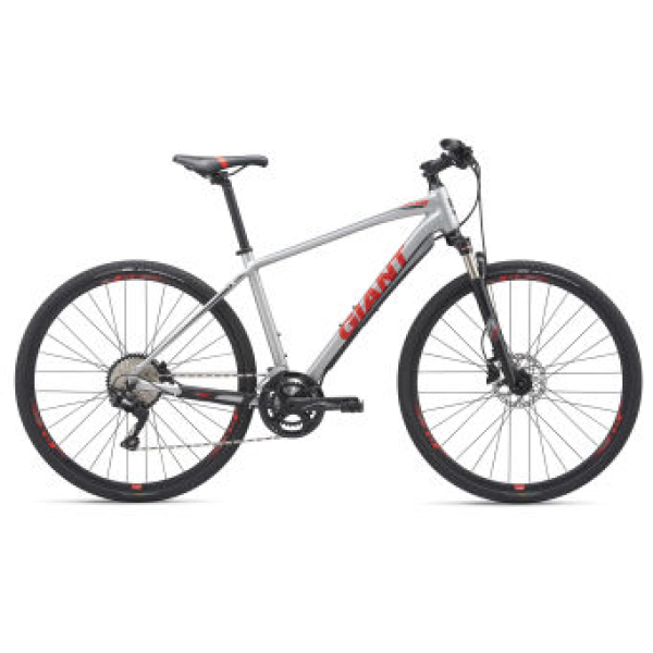 Giant Roam Zilver Alu HEREN 2019
